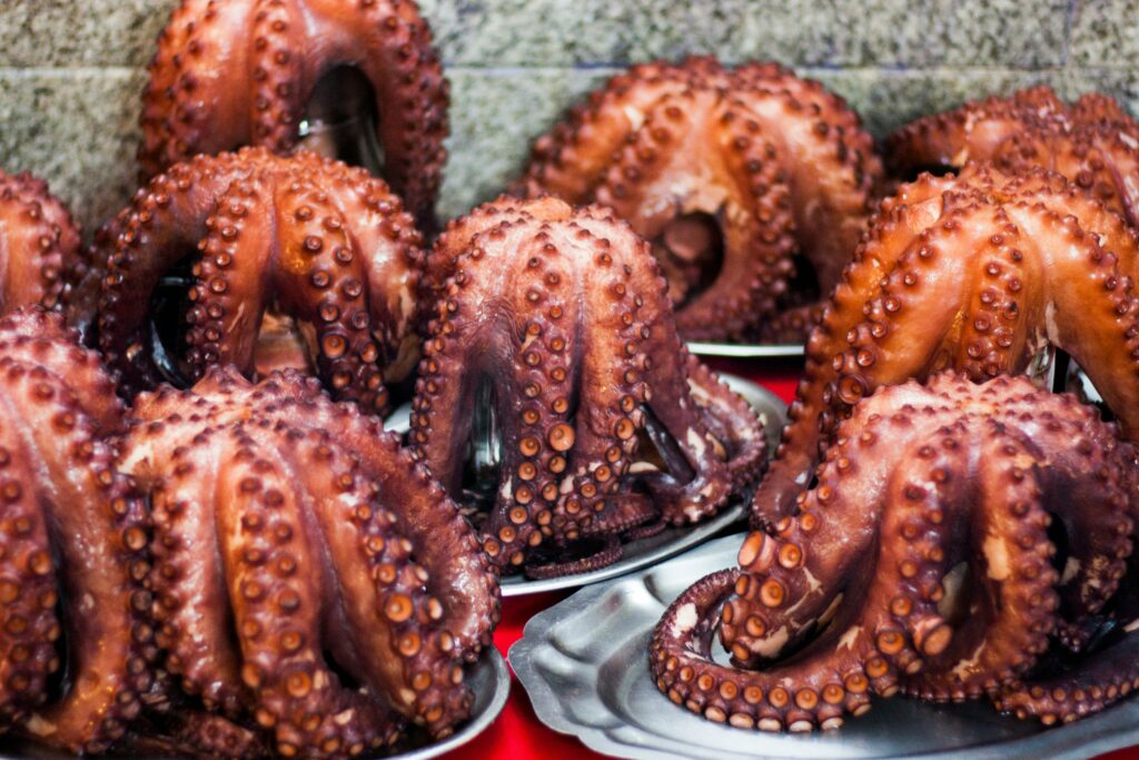 octopus Polpo